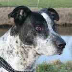 Fred Astair 150 x 150