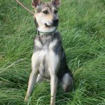 Nora,Chip,Paul,Abby 004