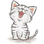 alles katze1