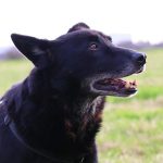 IMG-20241104-WA0045_rev1