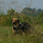 Kira selbstbewusst 1