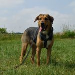 Kira selbstbewusst 2