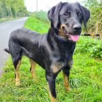 IMG-20230317-WA0002-1