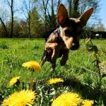 IMG-20230425-WA0026-1