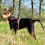 IMG-20230425-WA0027-1