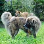 IMG-20231213-WA0027-1