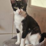 20240627_160406(0)[1]