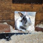 IMG-20240625-WA0009[1]