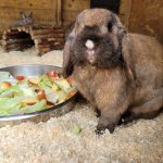 IMG-20240625-WA0011[1]