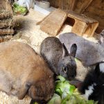 IMG-20240625-WA0014[1]