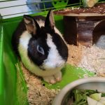 IMG-20240625-WA0020[1]