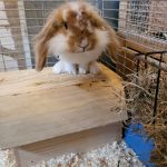 IMG-20240630-WA0012[1]