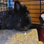 IMG-20240630-WA0013[1]