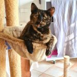 IMG-20240701-WA0005[1]