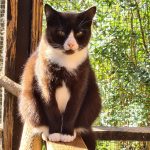 IMG-20240701-WA0010[1]