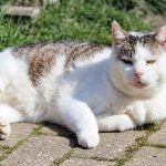 IMG-20240701-WA0012[1]