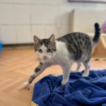 Screenshot_20250210_180125_Instagram