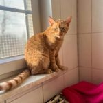 Screenshot_20250210_180207_Instagram